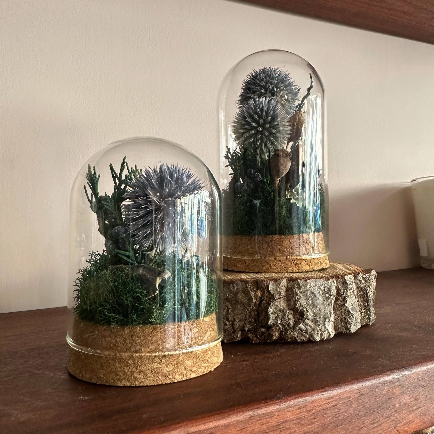 Large Botanical Glass Terrarium Jar w. Blue Dried Florals