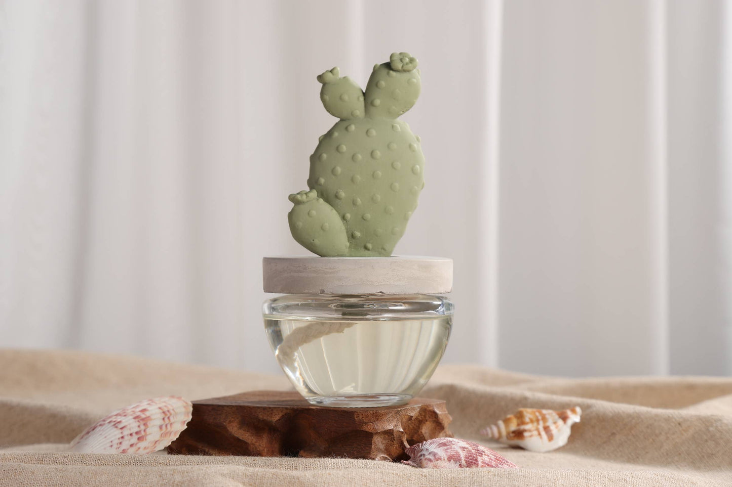 Cactus - Bunny Ear Cactus ceramic diffuser gift set - 100ml