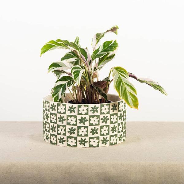 Cement Flower Pot "Checkers and Flowers", Green
