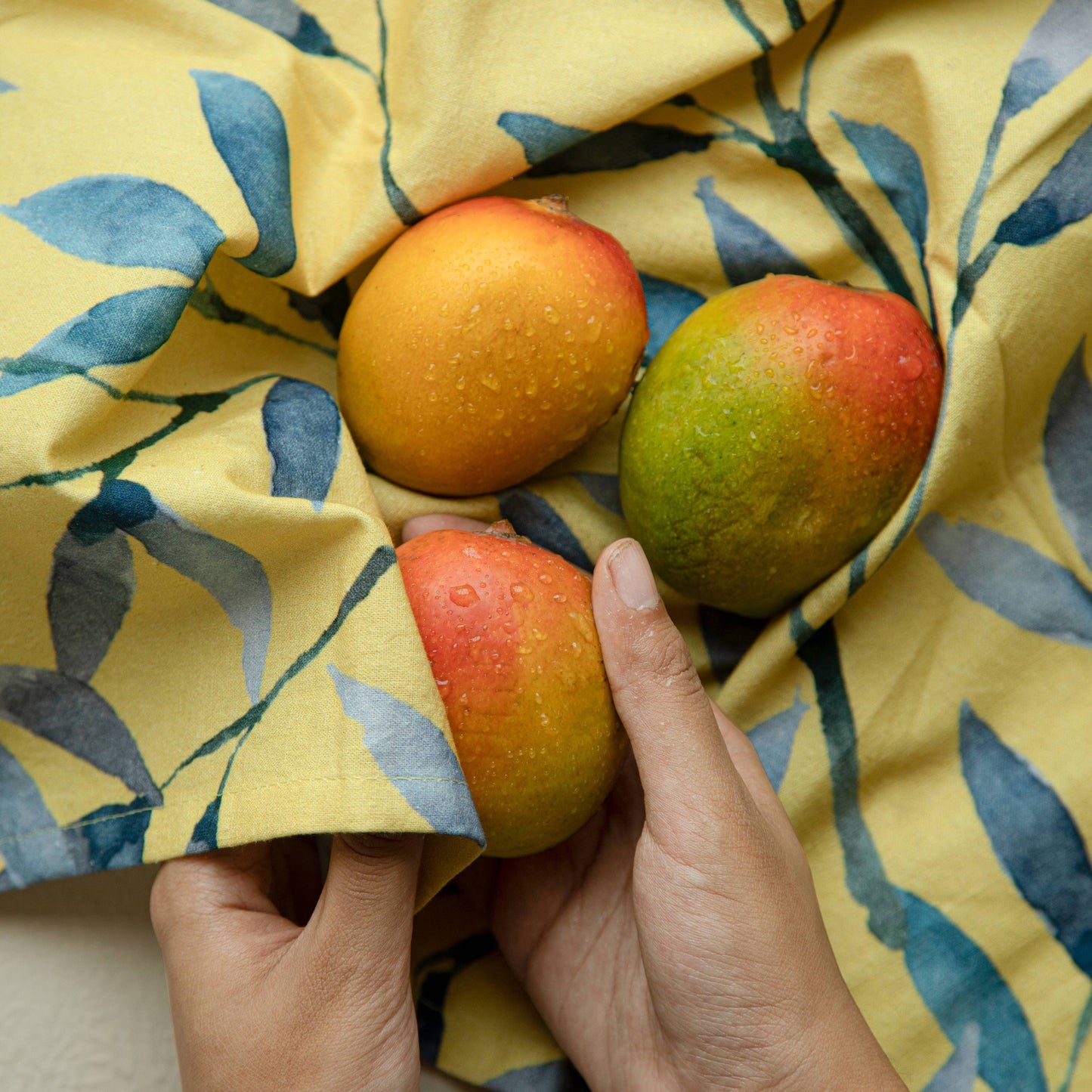 Spring Belle Dish Towel Set of 2