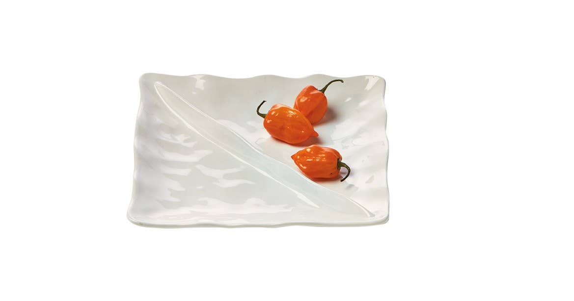 Formoso Divided Dish - White