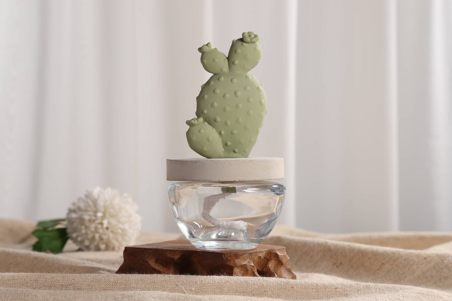 Cactus - Bunny Ear Cactus ceramic diffuser gift set - 100ml