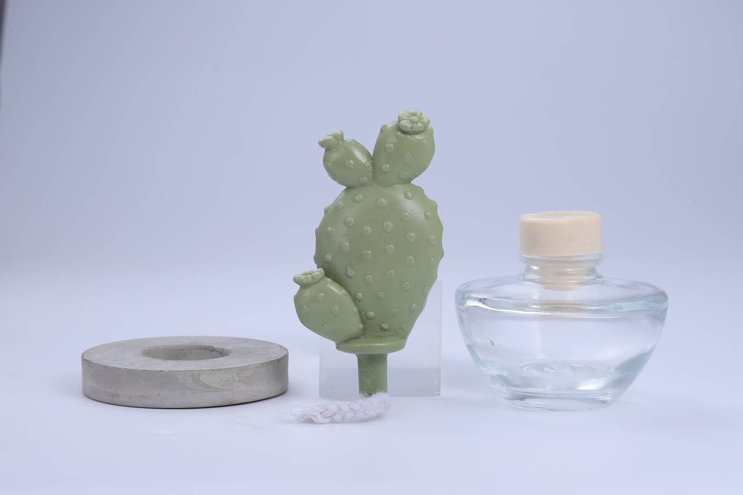 Cactus - Bunny Ear Cactus ceramic diffuser gift set - 100ml