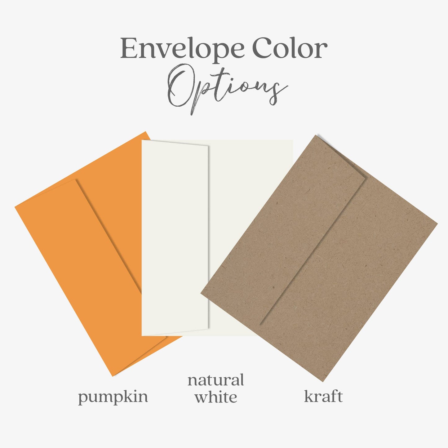 Vintage Monarch Butterfly Card, Nature Greeting Card