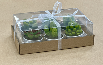 Cactus and Succulent Tea Light Candle Set