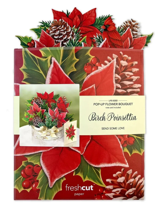 Birch Poinsettia-Classic
