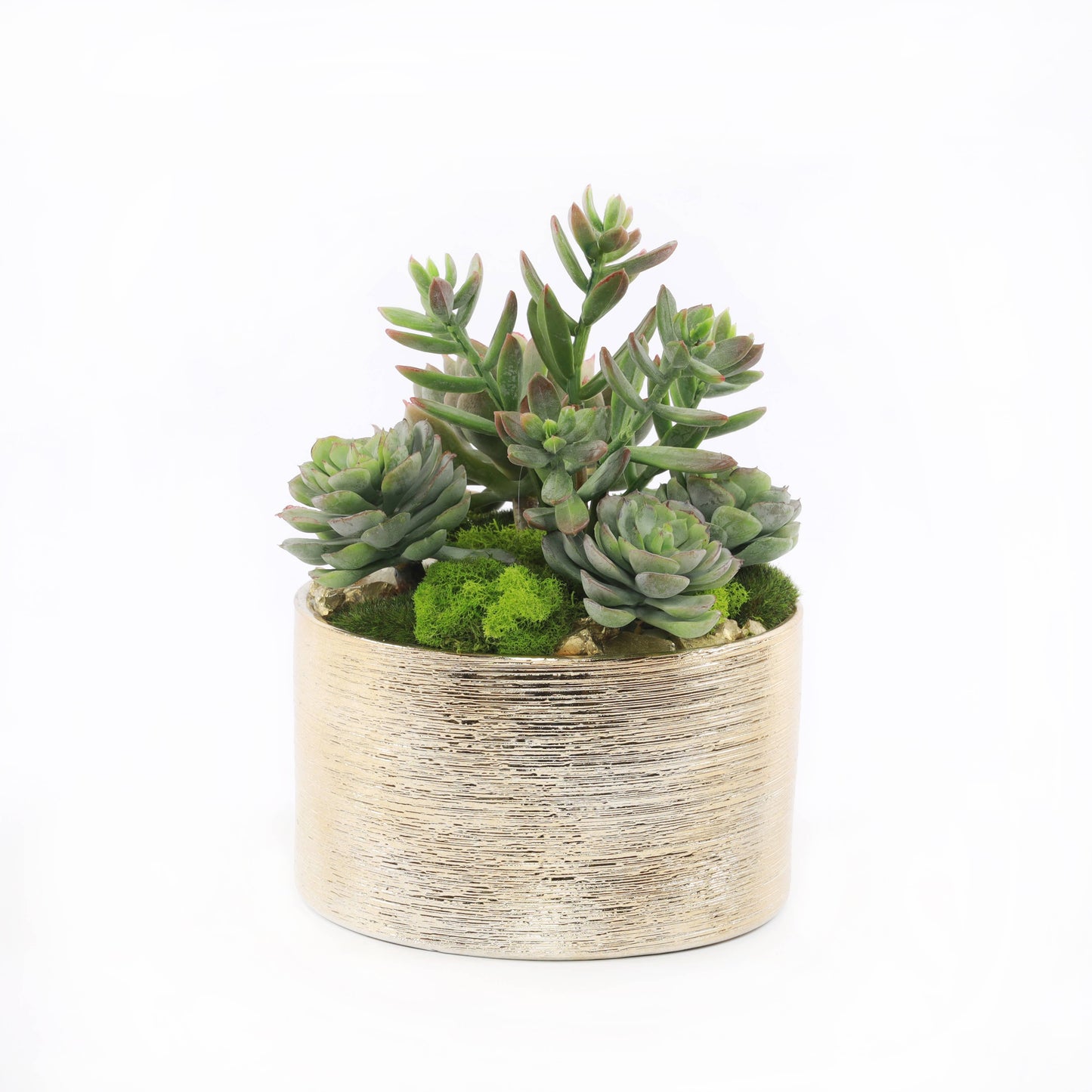 Faux Sedum & Succulent Arrangement in Etched Golden Pot