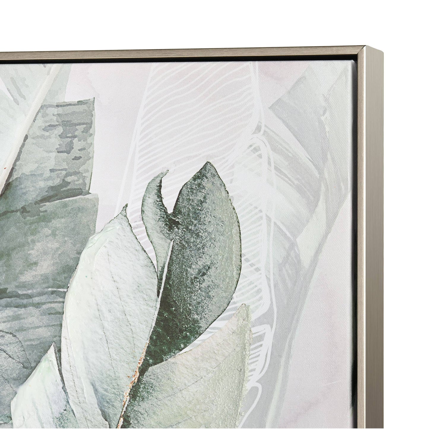 Musa 2 Framed Art