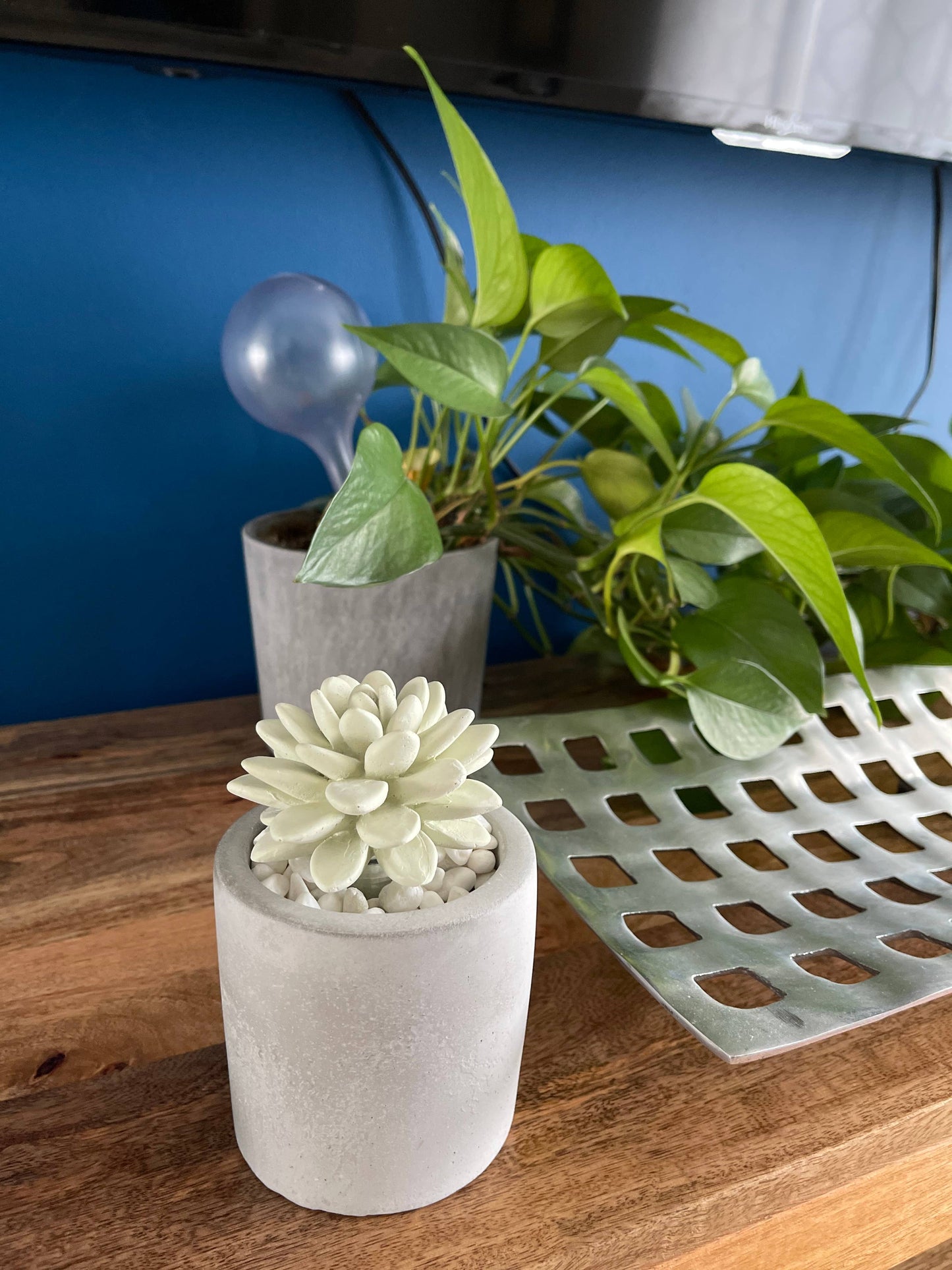 Succulent in Planter Diffuser Gift Set - Citrus Verbena