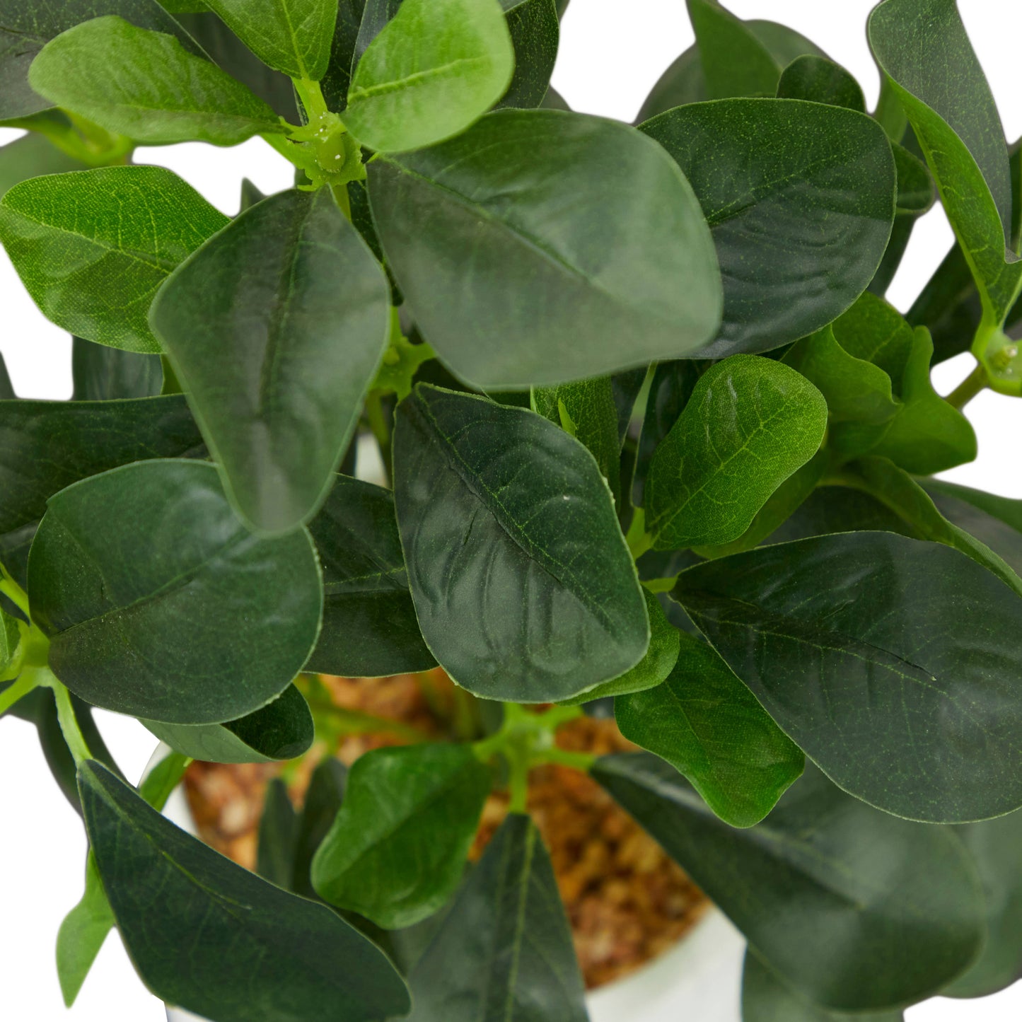 Modern Green Faux Foliage Artificial Plant