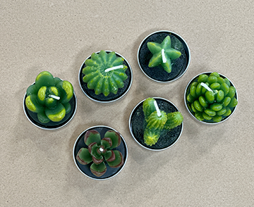Cactus and Succulent Tea Light Candle Set