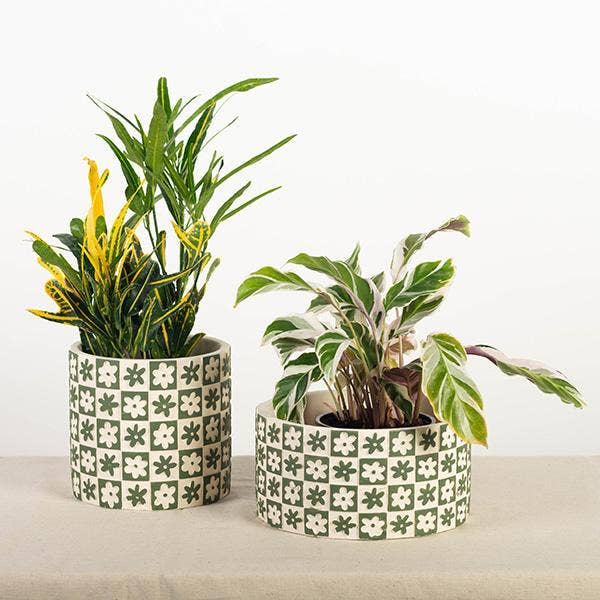 Cement Flower Pot "Checkers and Flowers", Green