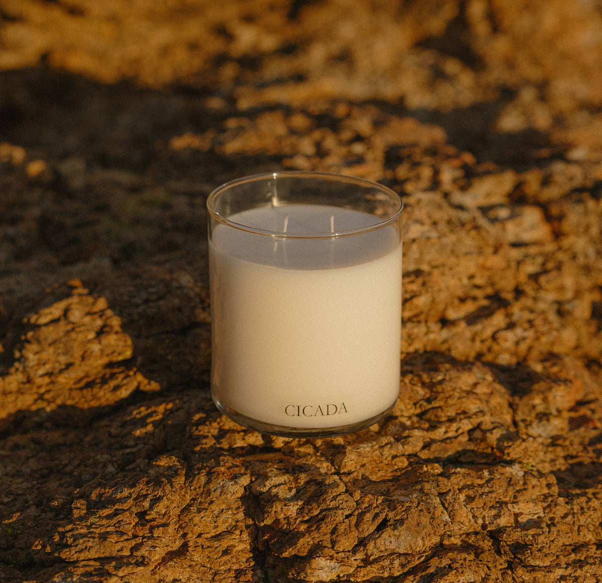 DESERT SUNSHINE Large Candle