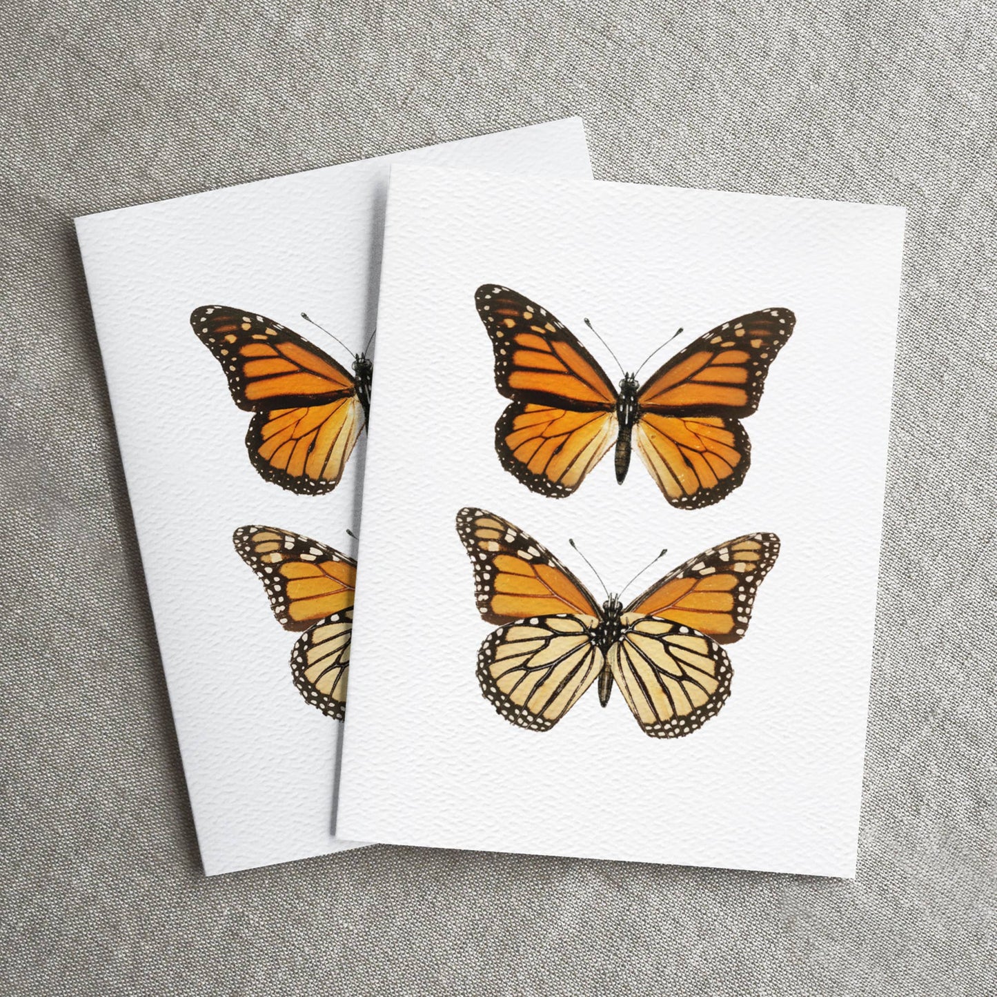 Vintage Monarch Butterfly Card, Nature Greeting Card
