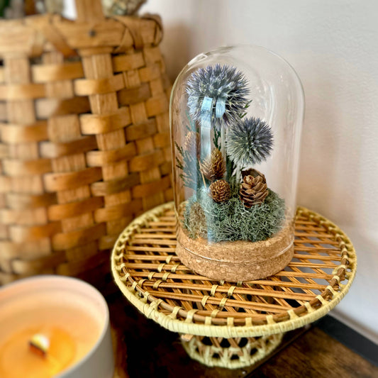 Large Botanical Glass Terrarium Jar w. Blue Dried Florals