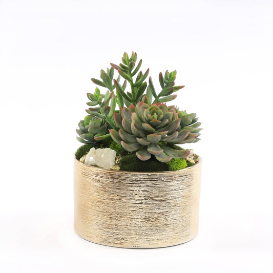 Faux Sedum & Succulent Arrangement in Etched Golden Pot