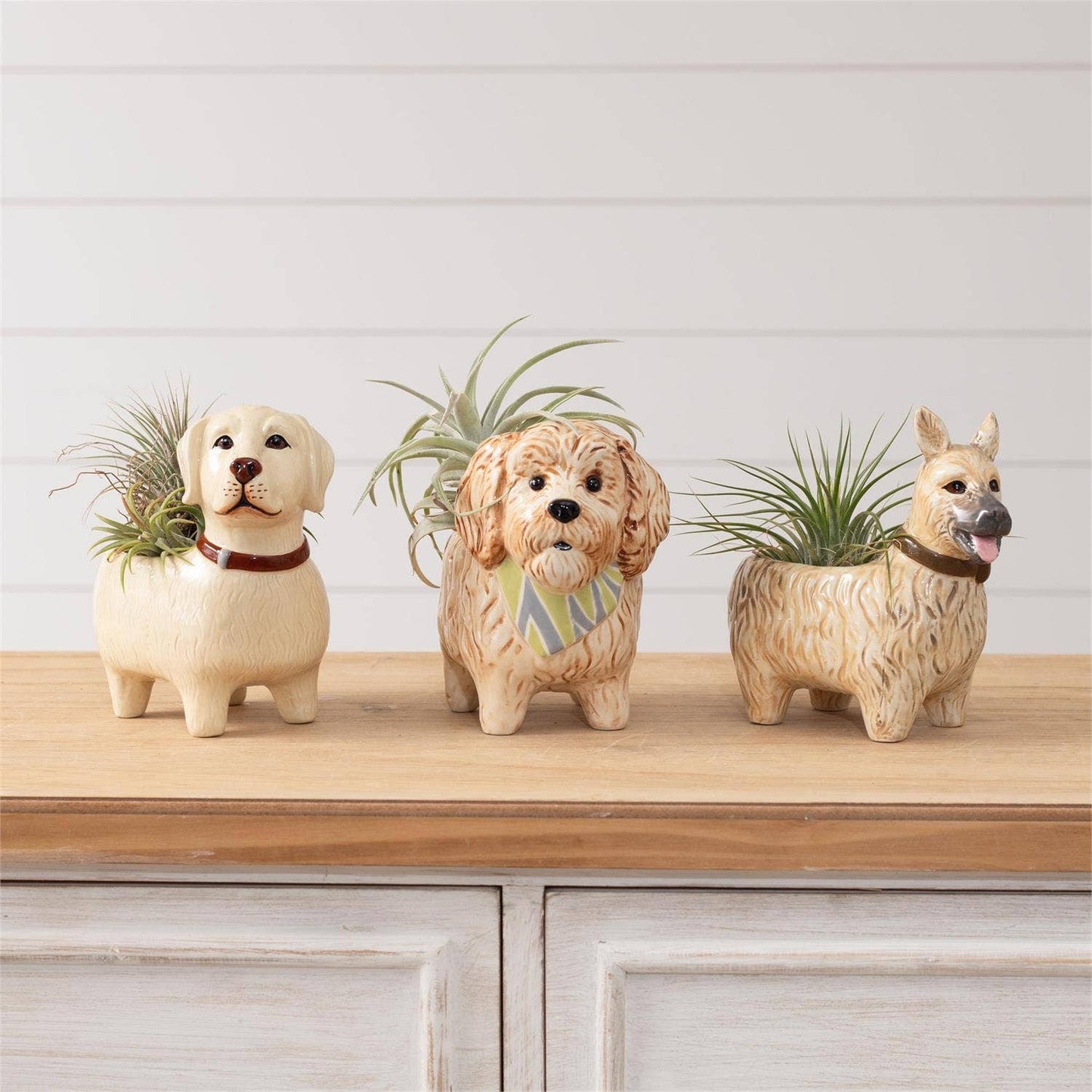 Bud vases - Doggies