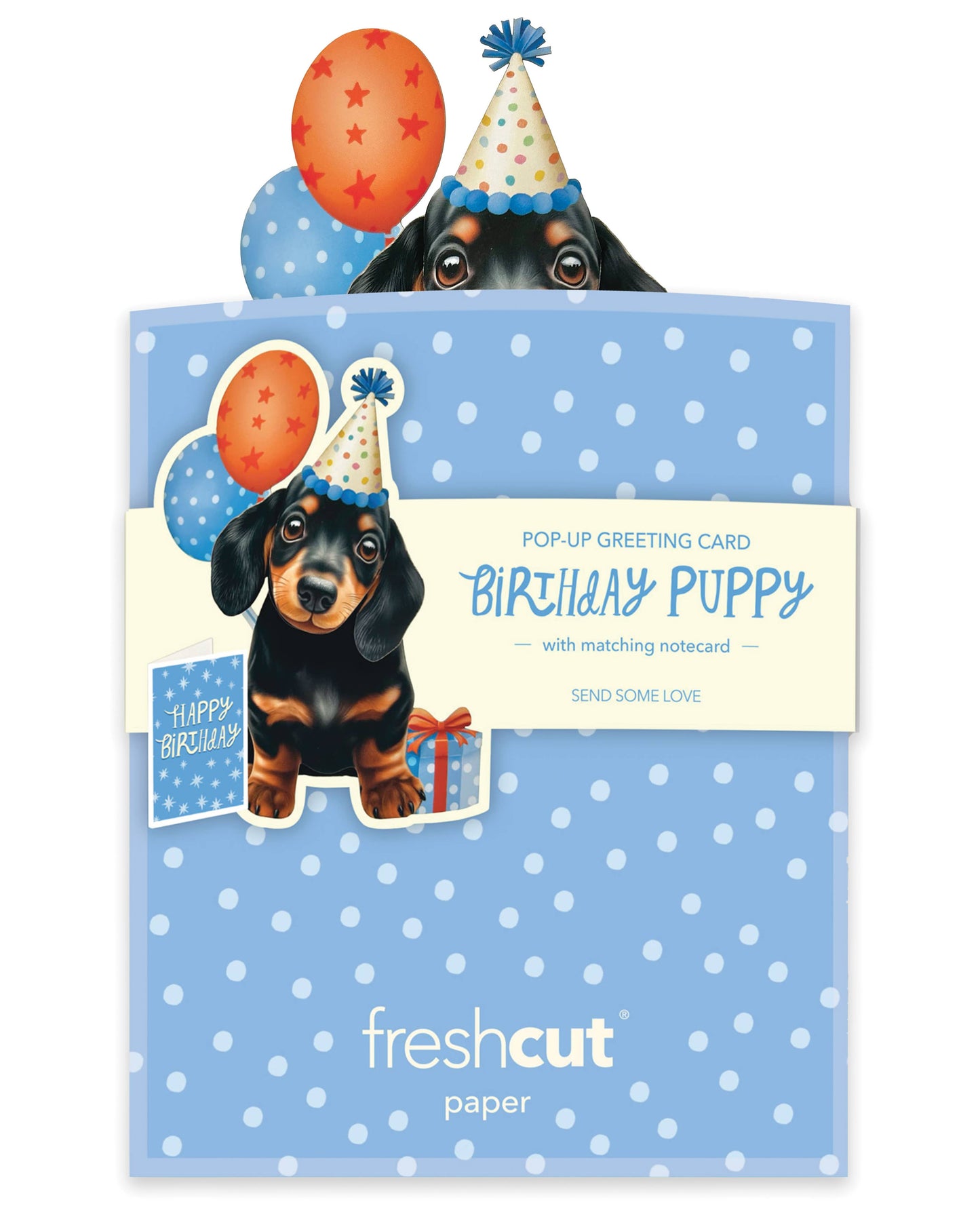 Mini Birthday Puppy