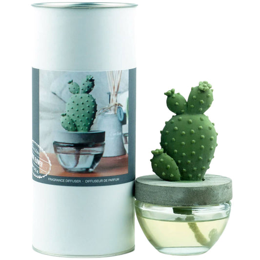 Cactus - Bunny Ear Cactus ceramic diffuser gift set - 100ml