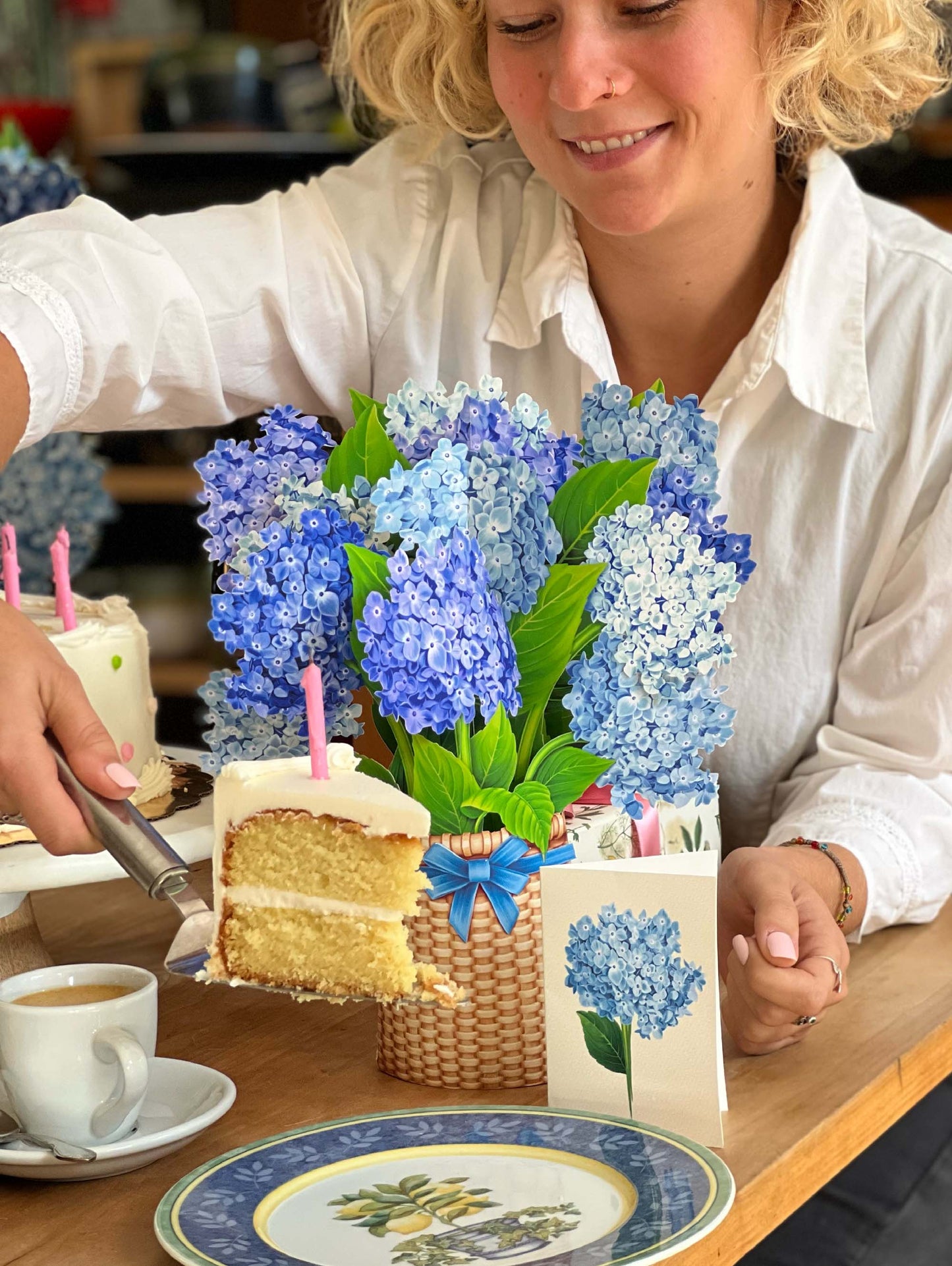 Nantucket Hydrangeas
