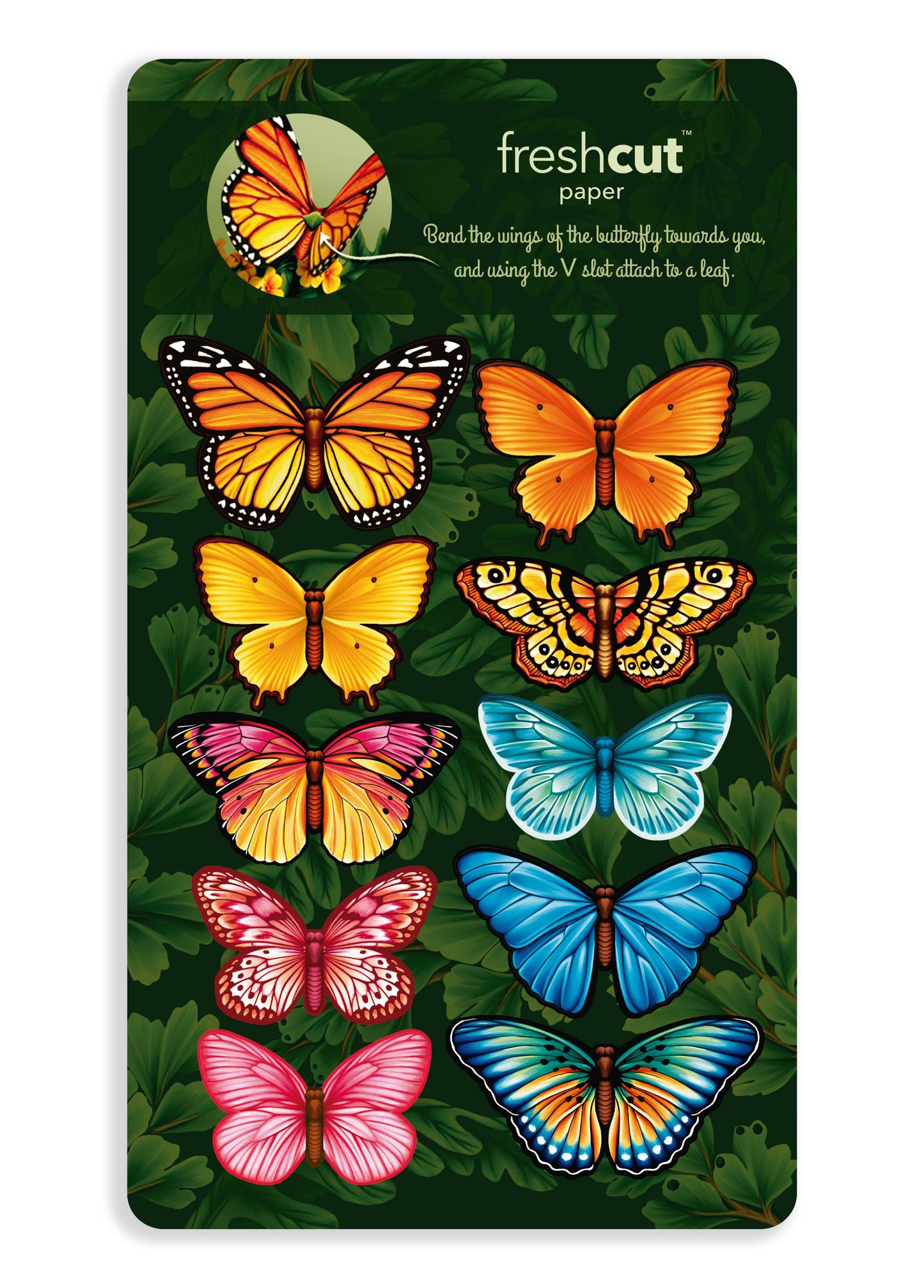 Butterflies & Buttercups