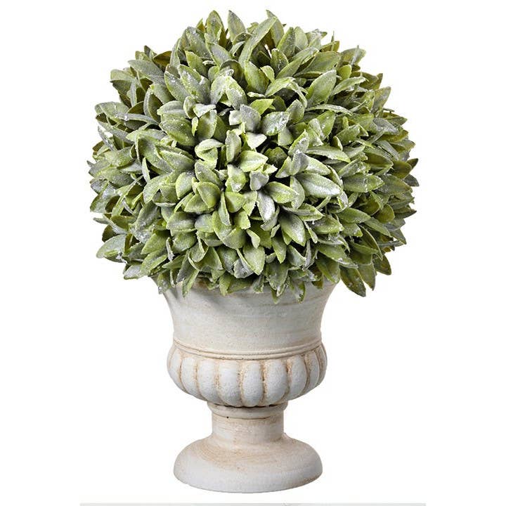 Flocked Sage 'Orb' Plant in Cream Urn - 12"