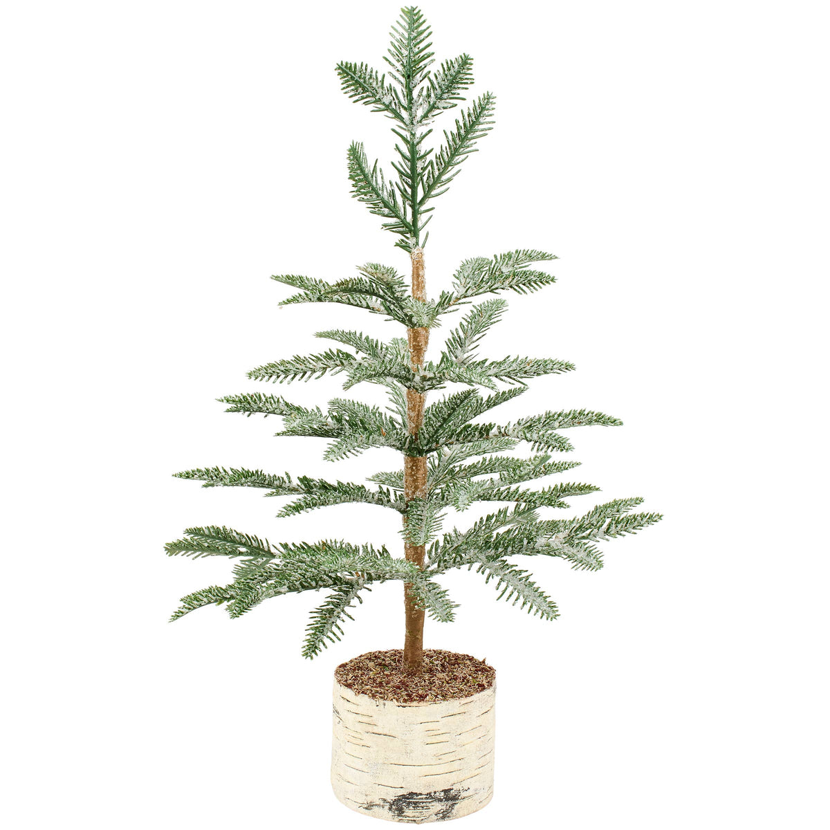 Large Icy Pine Tree