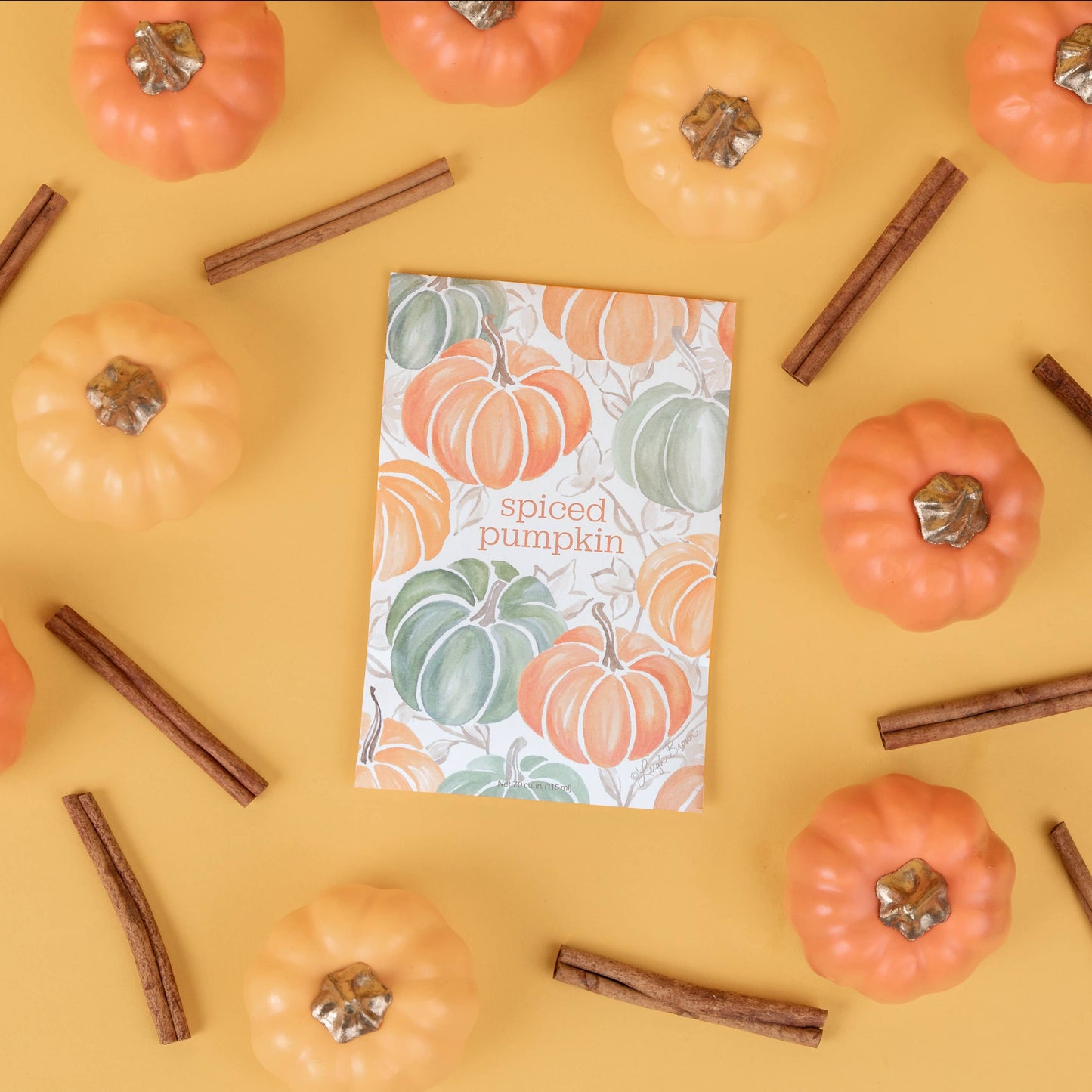 Fresh Scents | Spiced Pumpkin Sachets | Fall, Halloween