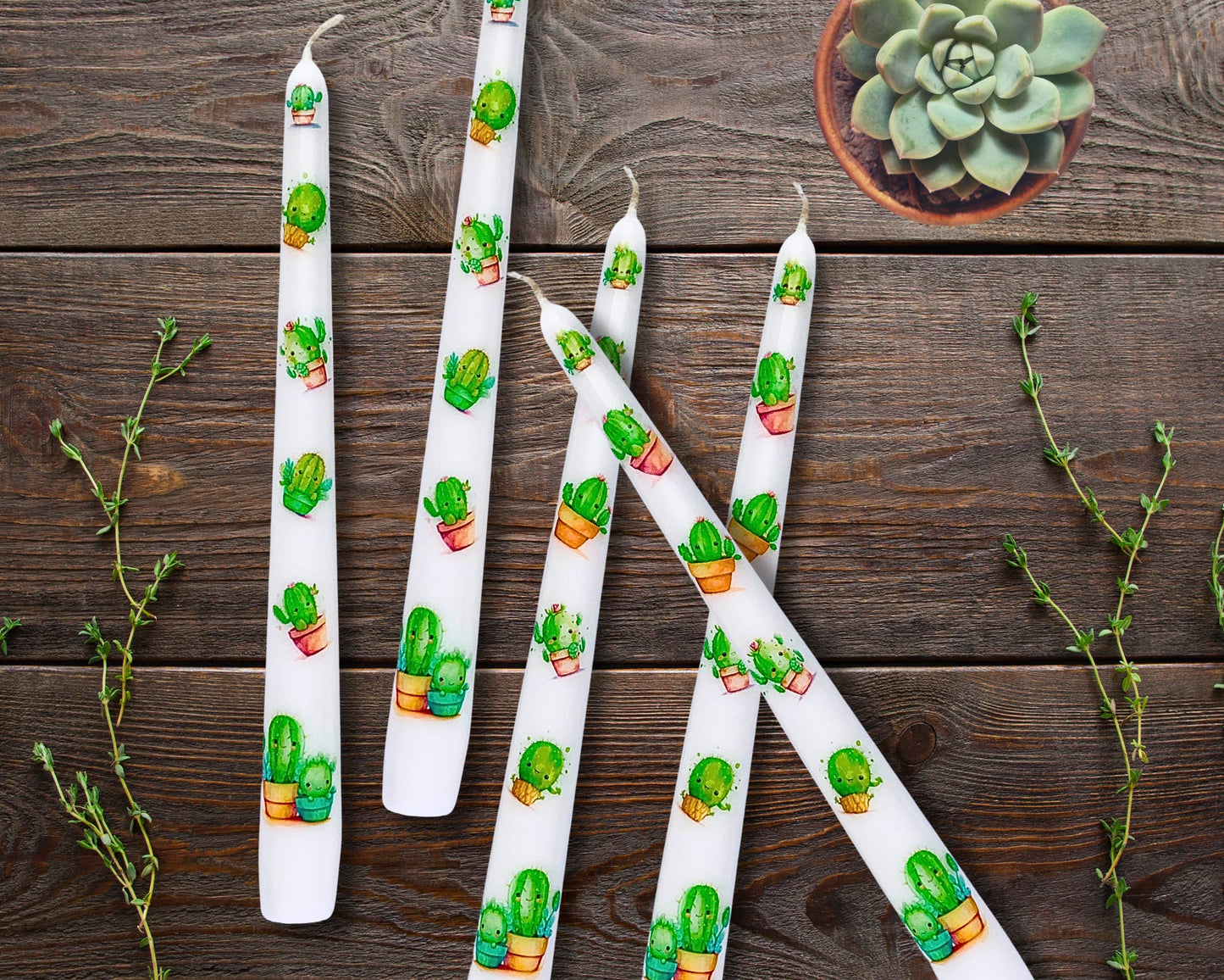 Southwest Succulent Taper Candles Home Decor and Gifts