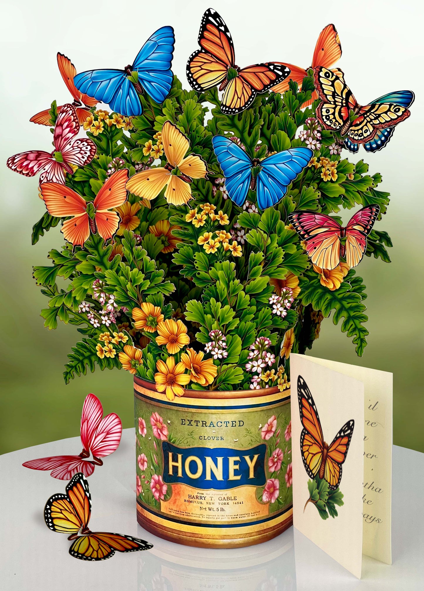 Butterflies & Buttercups