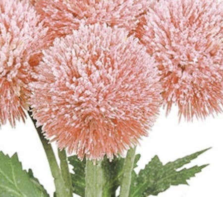 Artificial Globe Thistle Flower Bundle - 3 color options