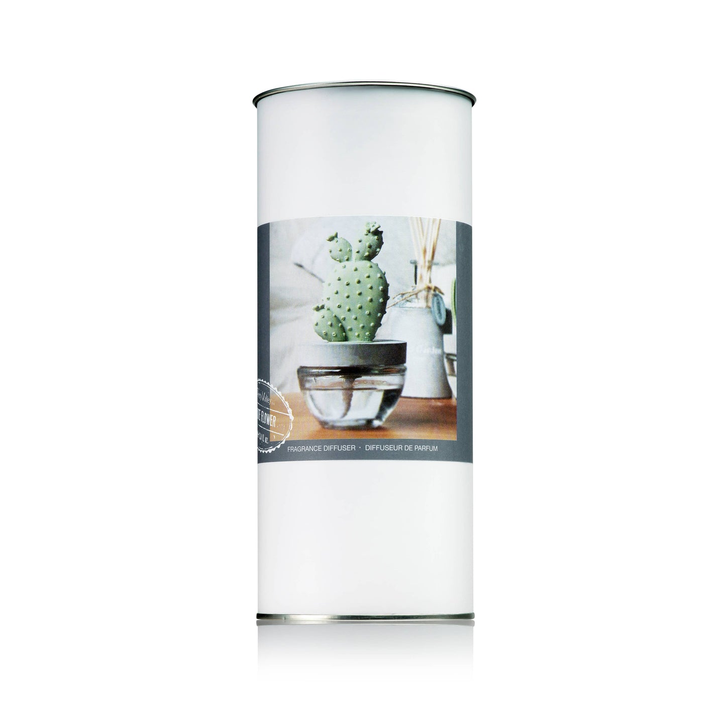 Cactus - Bunny Ear Cactus ceramic diffuser gift set - 100ml