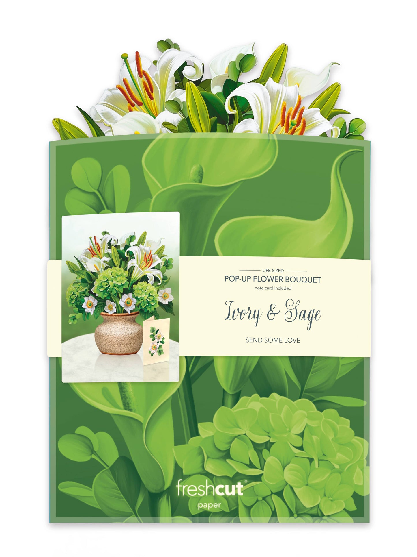 Ivory & Sage