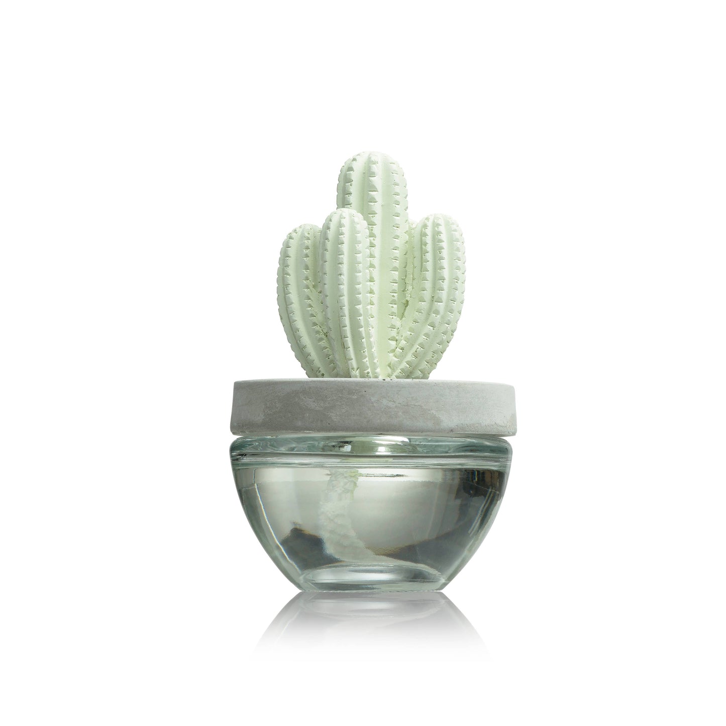 Cactus - Saguaro Cactus ceramic diffuser gift set -100ml