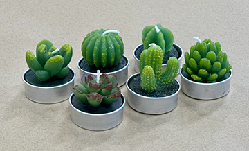 Cactus and Succulent Tea Light Candle Set