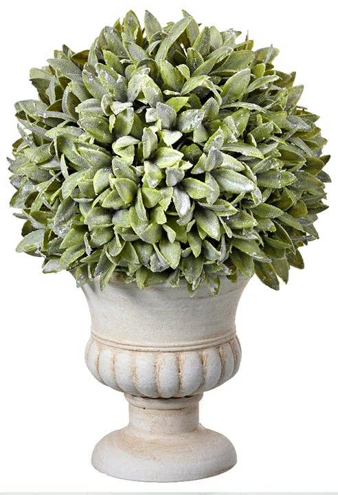 Flocked Sage 'Orb' Plant in Cream Urn - 12"