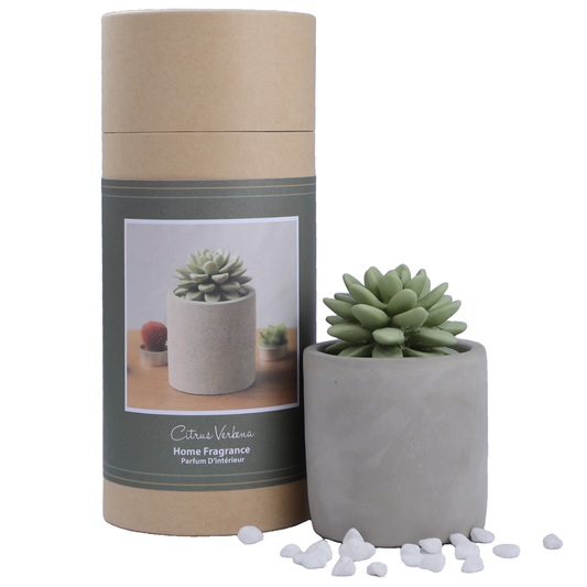 Succulent in Planter Diffuser Gift Set - Citrus Verbena
