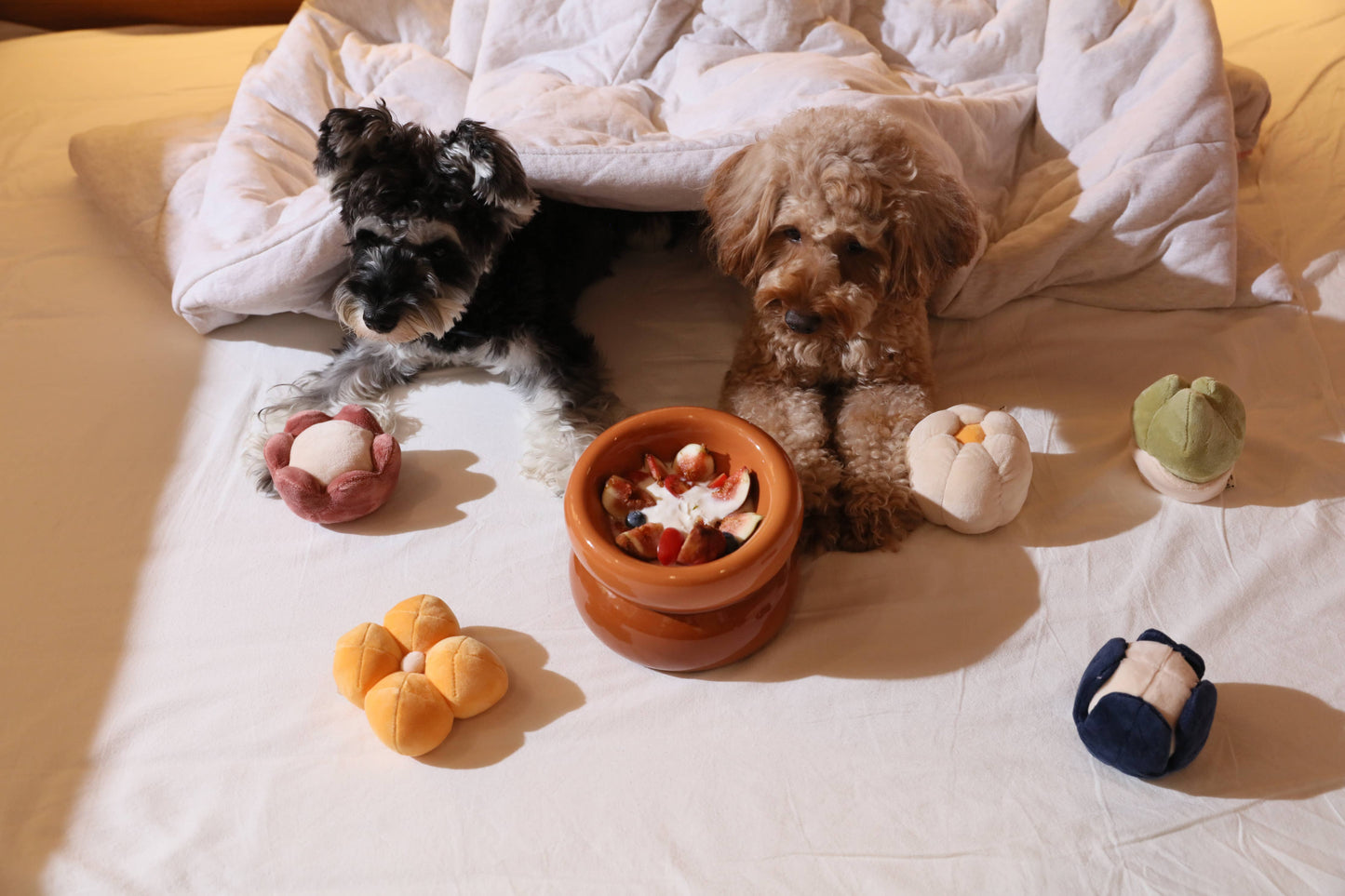 Soufflé Pet Bowl - Amber Orange
