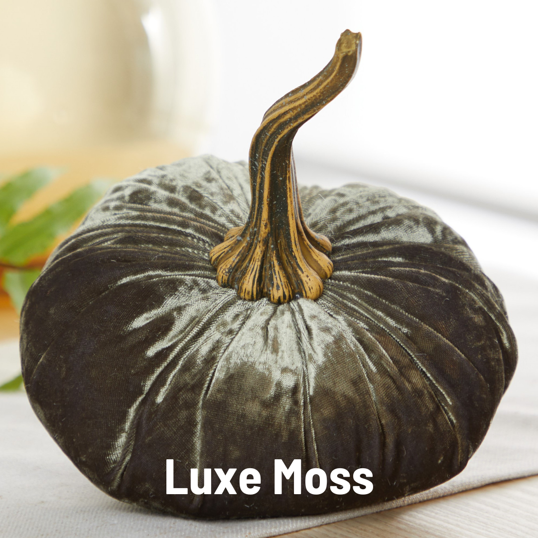 Pumpkin Large Velvet, Fall Decor, Shelf Sitter, Tablescape