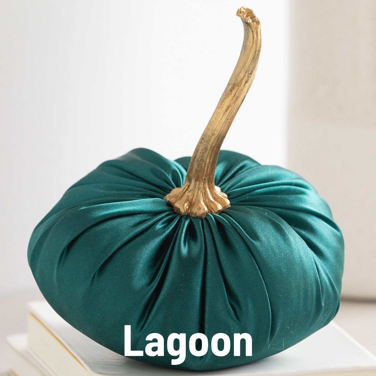 Satin Pumpkins