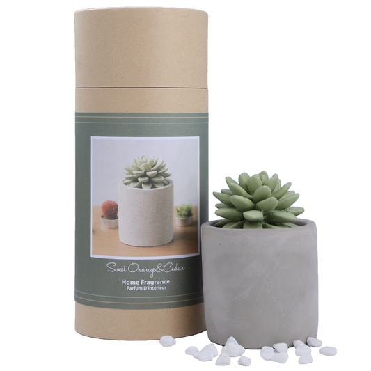 Succulent in Planter Diffuser Gift Set - Sweet Orange Cedar