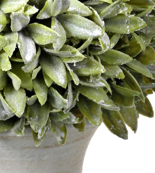 Flocked Sage 'Orb' Plant in Cream Urn - 12"