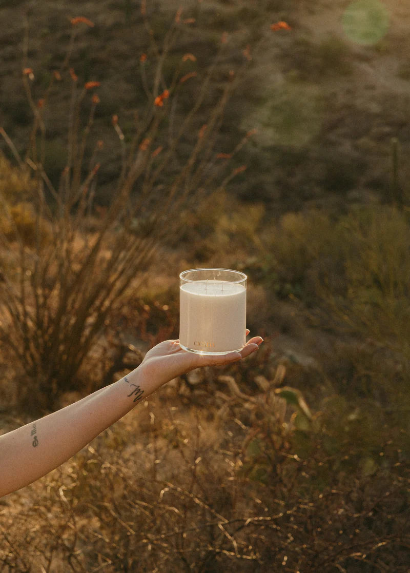 Cicada 16 oz. Candle/memory No.02/The Scent of Sunshine
