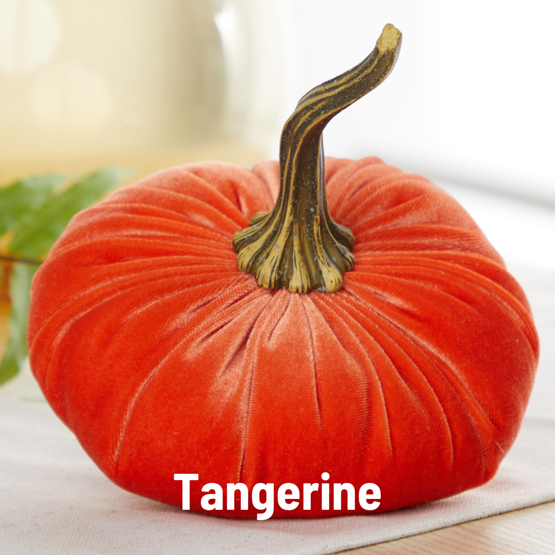 Pumpkin Large Velvet, Fall Decor, Shelf Sitter, Tablescape