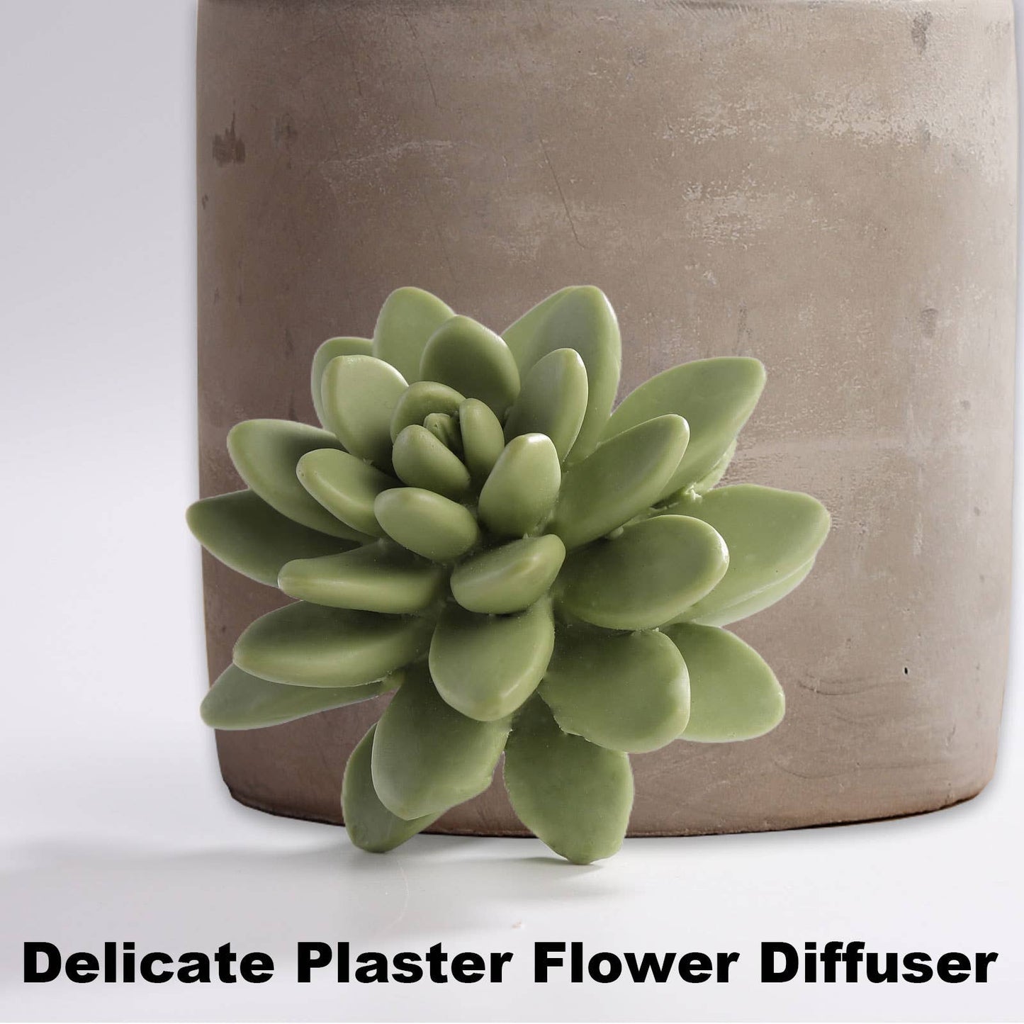 Succulent in Planter Diffuser Gift Set - Frozen Pear