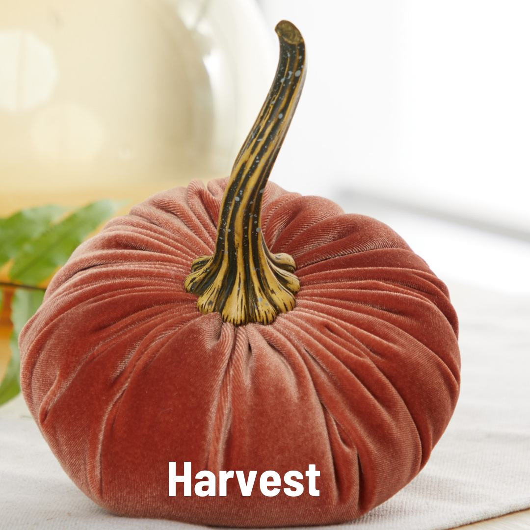 Pumpkin Large Velvet, Fall Decor, Shelf Sitter, Tablescape