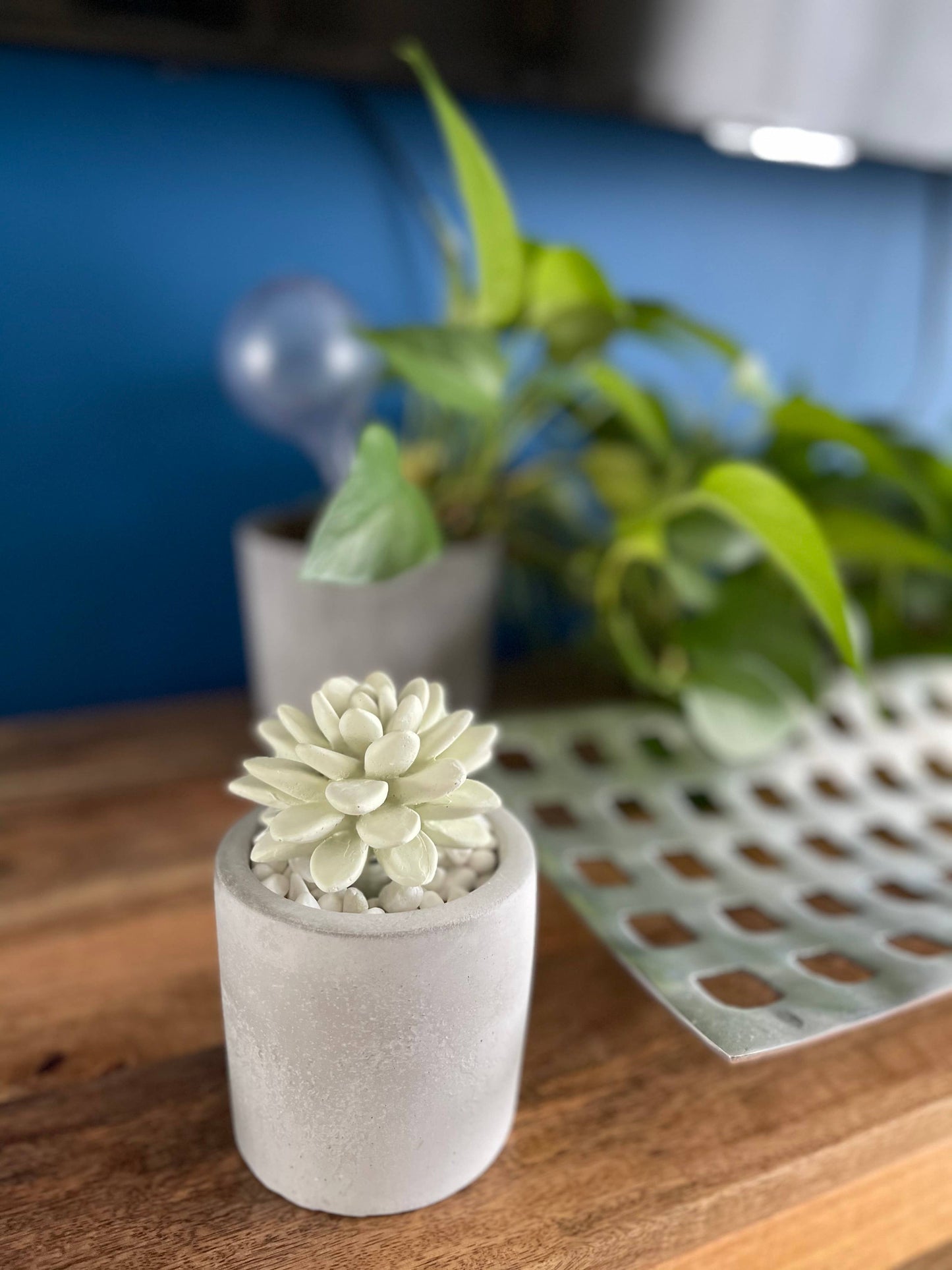 Succulent in Planter Diffuser Gift Set - Frozen Pear