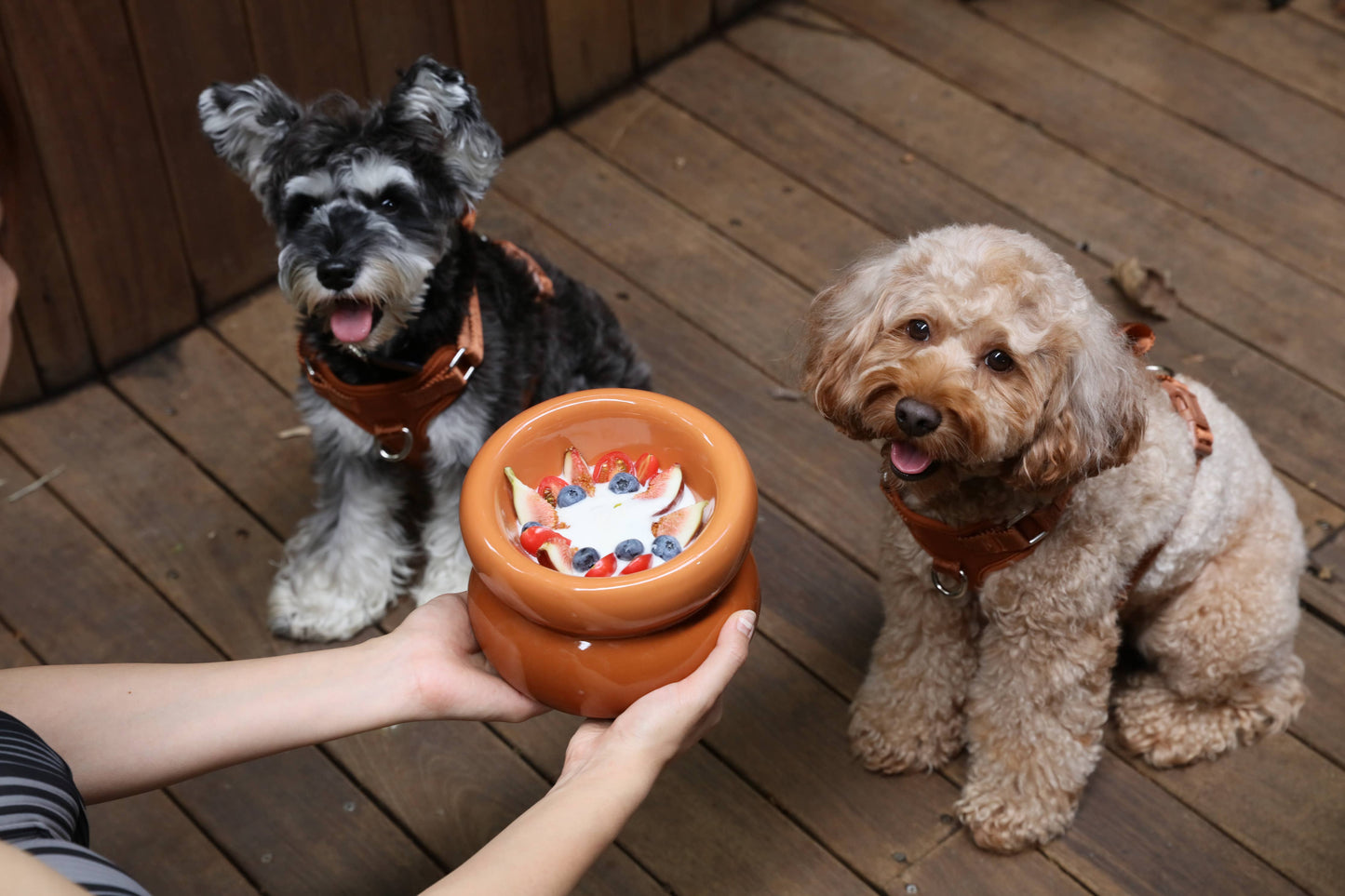 Soufflé Pet Bowl - Amber Orange