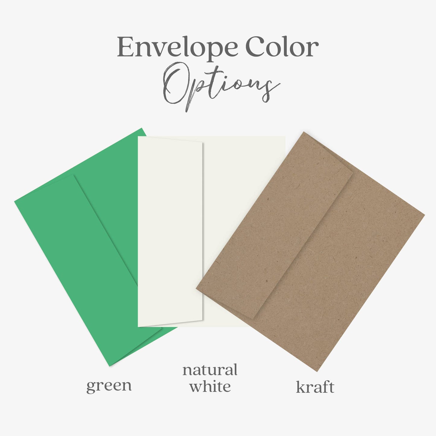 Plant Thank You Greeting Card, Botanical Card