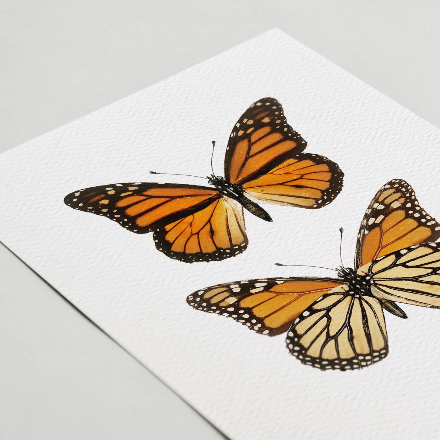 Vintage Monarch Butterfly Card, Nature Greeting Card